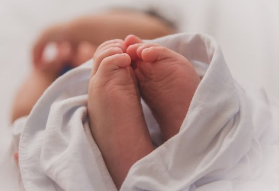 Welfare: Ebas è famiglia